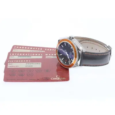 Omega Seamaster 2909.50.82