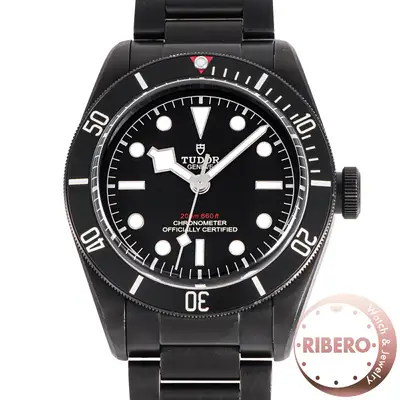 Tudor Black Bay 79230DK