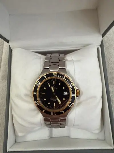 Omega Seamaster Professional