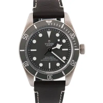 Tudor Black Bay 79010SG