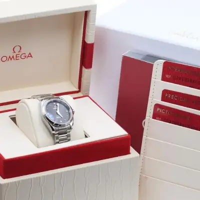 Omega Seamaster 220.10.28.60.51.001