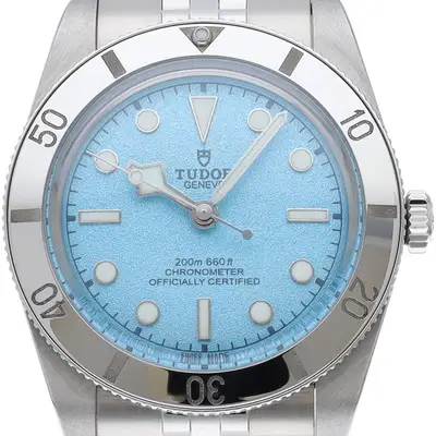 Tudor Black Bay 54 in Lagoon