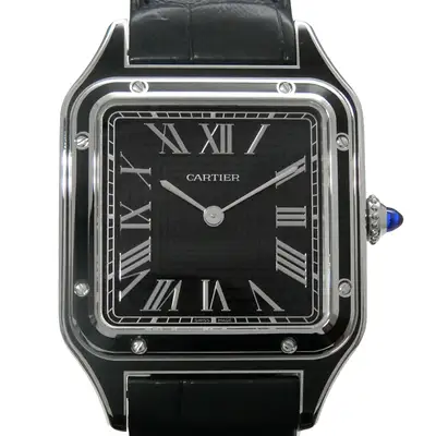 Cartier Santos Dumont WSSA0046 Stainless Steel
