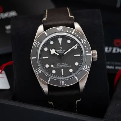 Tudor Black Bay 79010SG