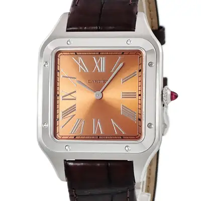 Cartier Santos Dumont XL WGSA0113 Platinum