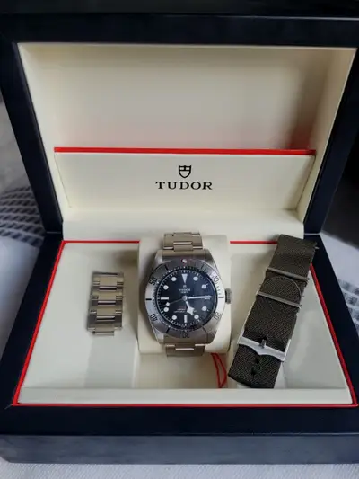 Tudor Black Bay 79730
