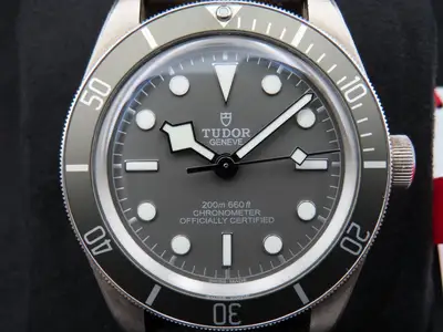 Tudor Black Bay 79010SG
