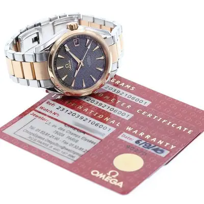Omega Seamaster 231.20.39.21.06.001