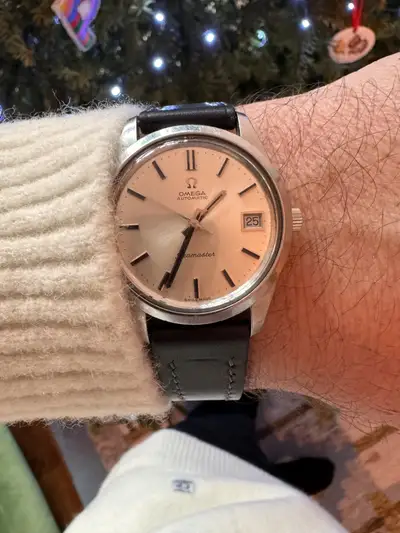 Omega Seamaster Date Silver Steel