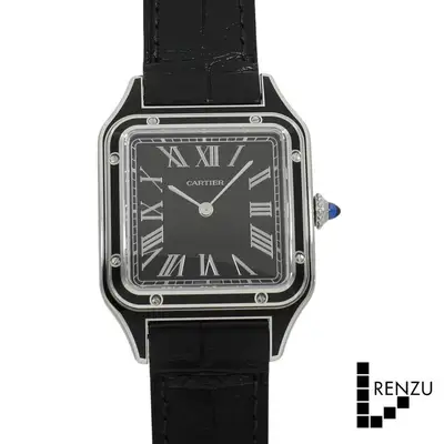Cartier Santos Dumont Large WSSA0046 Stainless