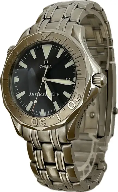 Omega Seamaster Professional