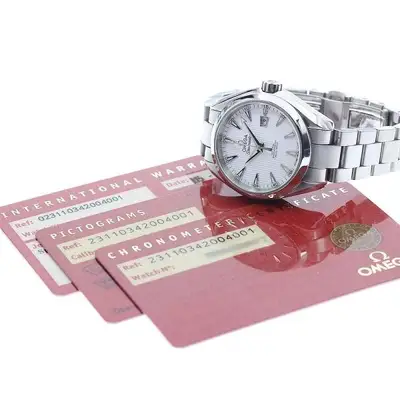 Omega Seamaster 231.10.34.20.04.001
