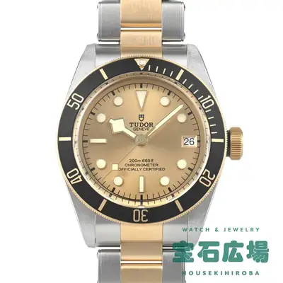Tudor Black Bay S&G M79733N-0004 TO308100
