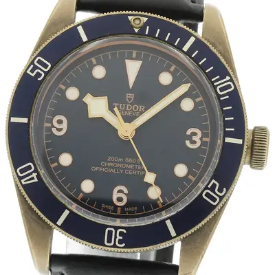 Tudor Black Bay 79250B