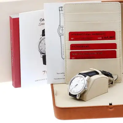 Omega Seamaster 511.13.38.20.02.001