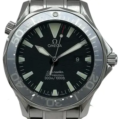 Omega Seamaster Professional Black Stainless Steel