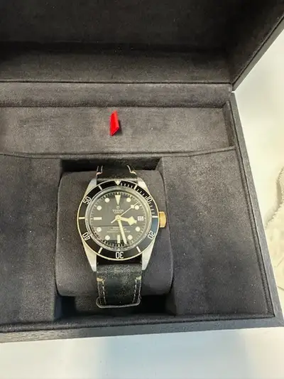 Tudor black bay S&G) heritage