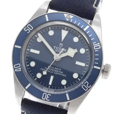 Tudor Black Bay 58 M79030B Diver