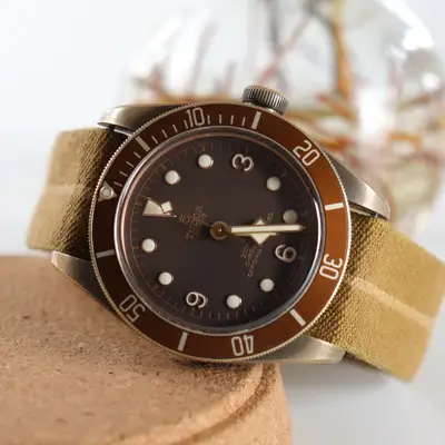 Tudor Black Bay 79250B