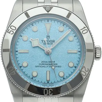 Tudor Black Bay 54 in Lagoon