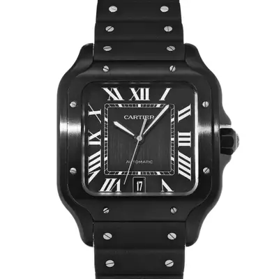 Cartier Santos WSSA0039 4072) 47. Stainless