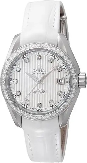 Omega Seamaster 231.18.30.20.55.001