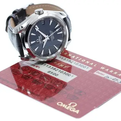Omega Seamaster 231.13.39.21.03.001