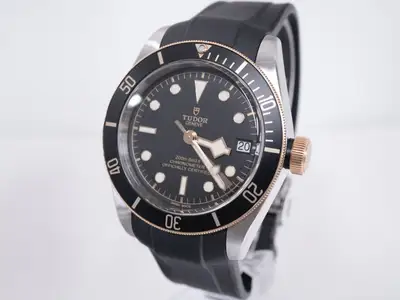 Tudor Heritage Black Bay S&G M79733N