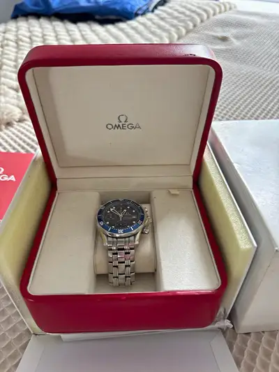Omega Seamaster Co-Axial Chronometer 22278000