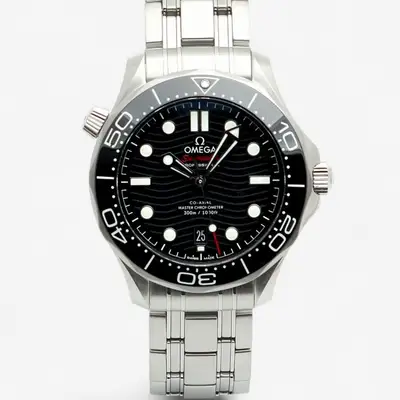 Omega Seamaster 300 Diver Steel 210.30.42