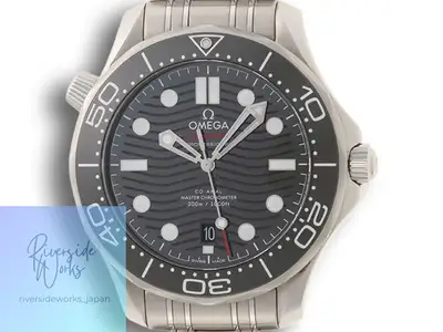 Omega Seamaster Diver 300 21030422001001 Stainless