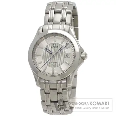 Omega Seamaster Stainless Steel Men Silver