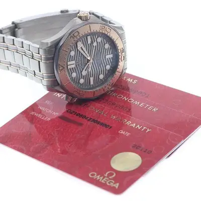 Omega Seamaster 210.60.42.20.99.001