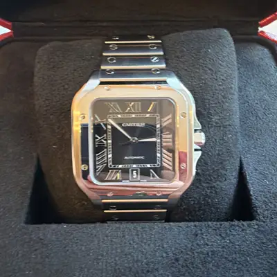 Cartier Santos WSSA0030 Stainless Steel
