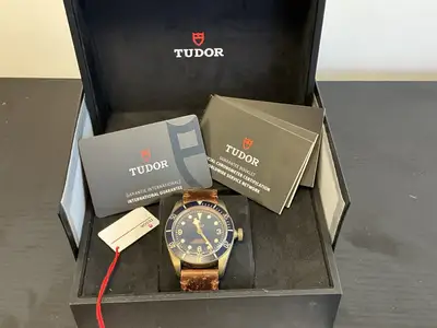Tudor Black Bay 79250BB