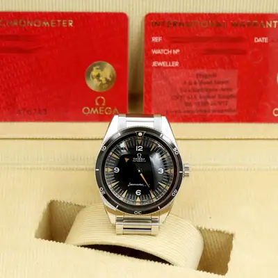Omega Seamaster 234.10.39.20.01.001