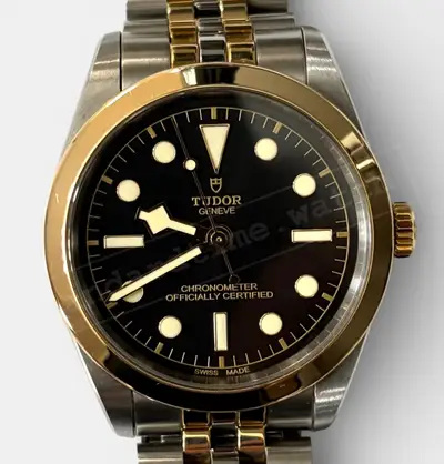 Tudor Black Bay S&G 41 S&g