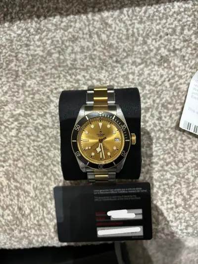 Tudor Black Bay S&G steel case