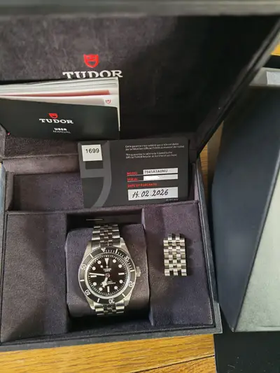 Tudor Black Bay 41 monochrome