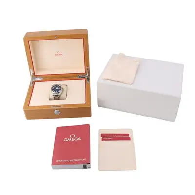Omega Seamaster 231.10.42.21.03.003