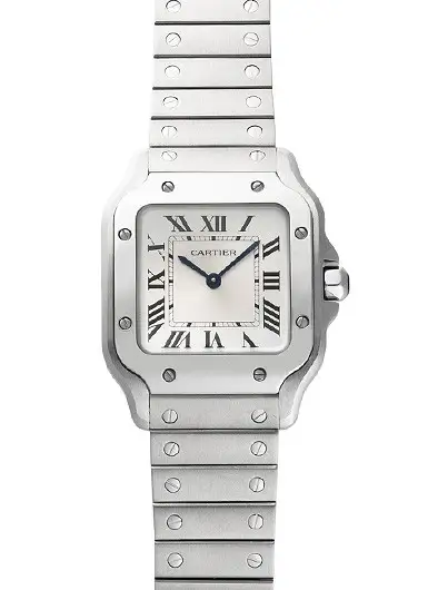 Cartier Santos De SM WSSA0082 Stainless
