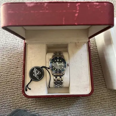 Omega Seamaster Blue Mid-Size Stainless Steel