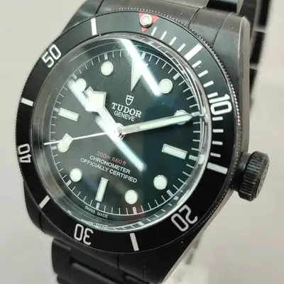 Tudor Black Bay 79230DK