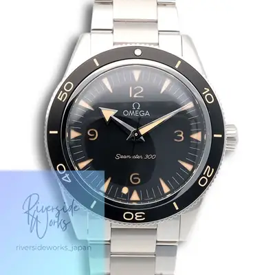 Omega Seamaster Stainless Steel 23430412101001