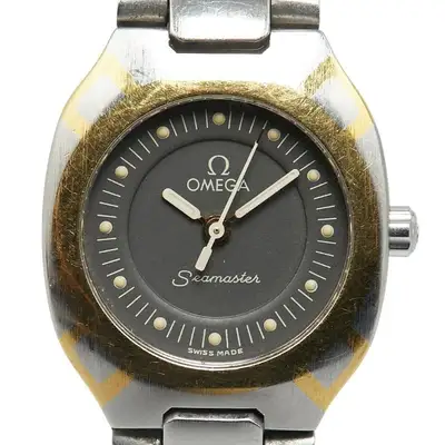 Omega Seamaster Polaris Gray Working