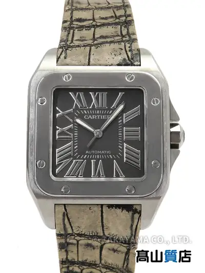 Cartier Santos W20134X8/2656 Stainless Steel Leather