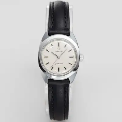 Omega Seamaster Silver Mini