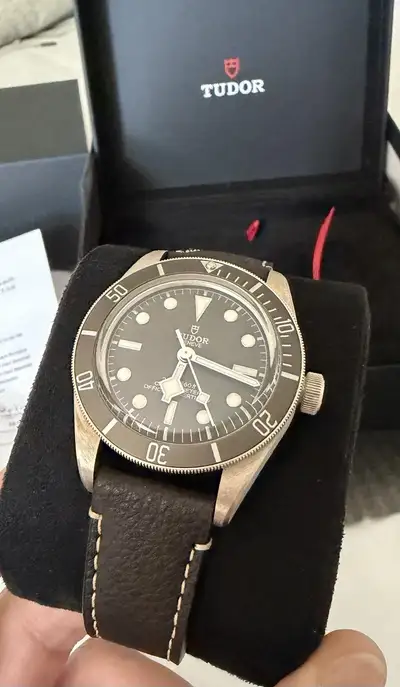 Tudor Black Bay 79010SG