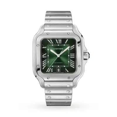 Cartier Santos De Cartier WSSA0062 Large Interchangeable