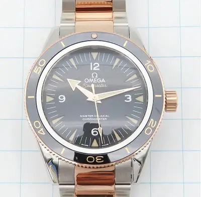 Omega Seamaster 233.20.41.21.01.001